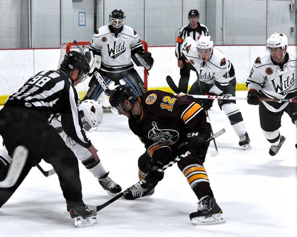 Iowa Wild vs. Chicago Wolves at Wells Fargo Arena