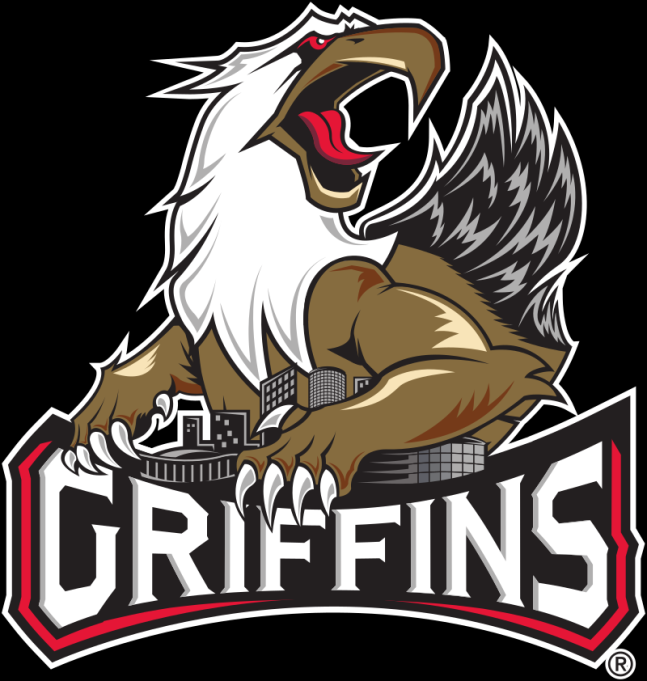 Iowa Wild vs. Grand Rapids Griffins