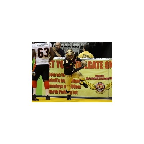 Iowa Barnstormers vs. Green Bay Blizzard  at Wells Fargo Arena