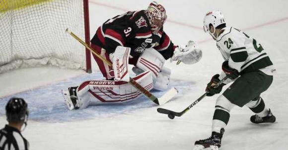 Iowa Wild vs. Grand Rapids Griffins at Wells Fargo Arena