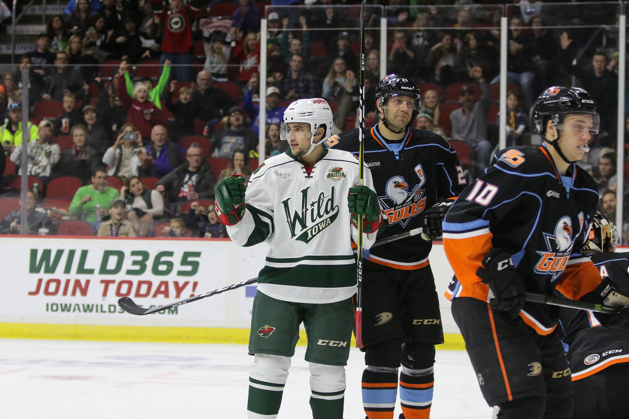 Iowa Wild vs. San Diego Gulls at Wells Fargo Arena